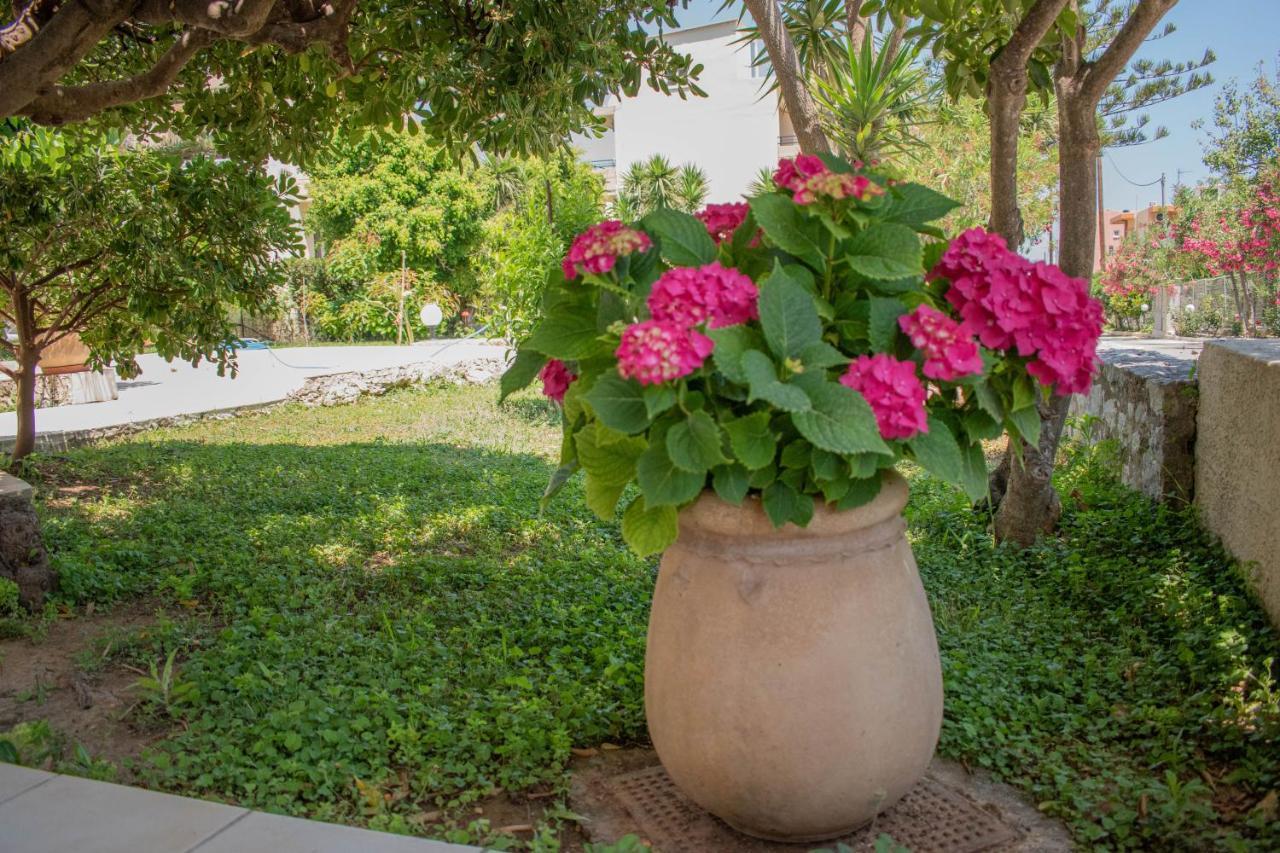 Evdokia Αpartments & Dimitra Village Agia Marina  Exterior photo