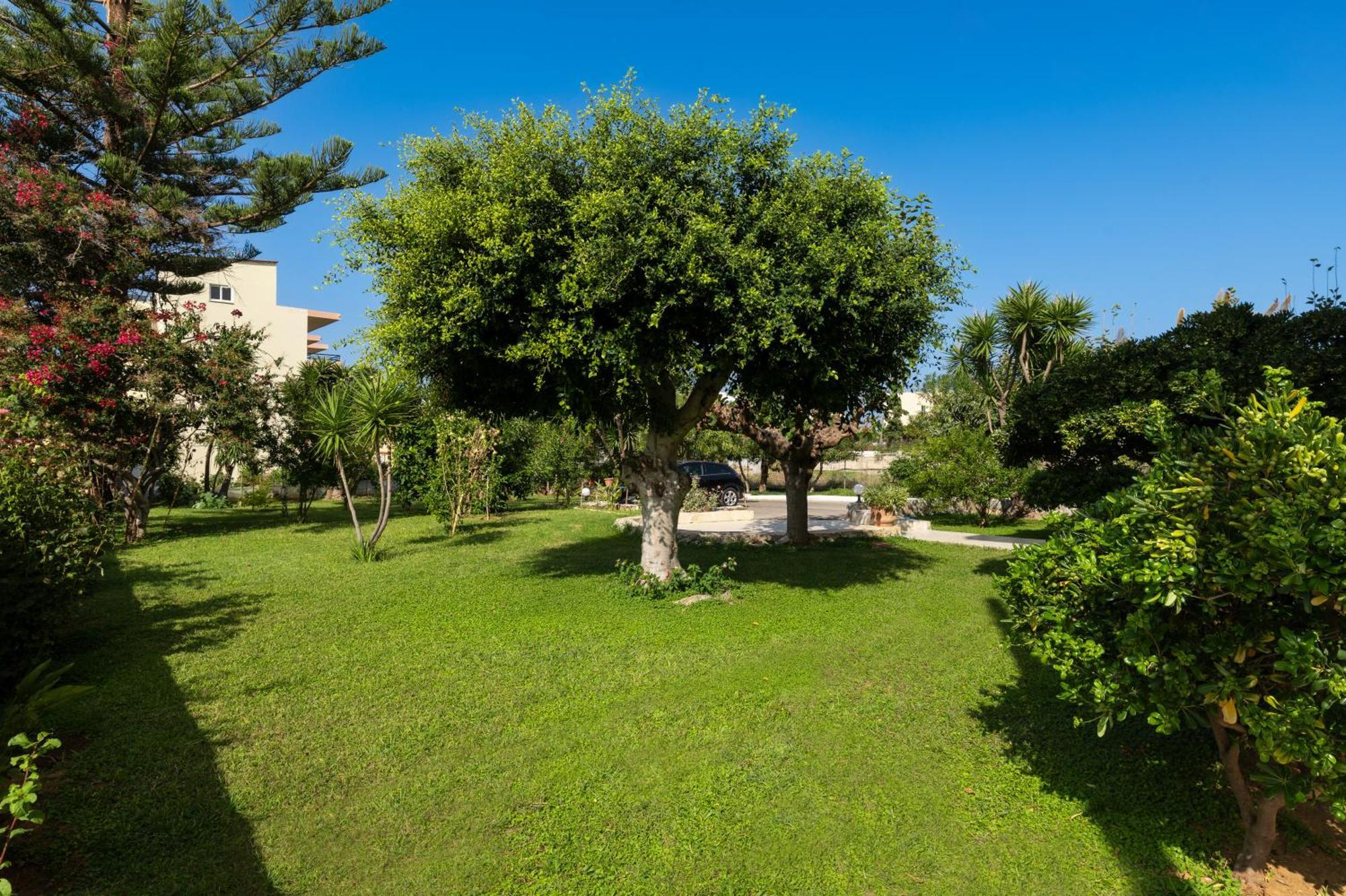 Evdokia Αpartments & Dimitra Village Agia Marina  Exterior photo