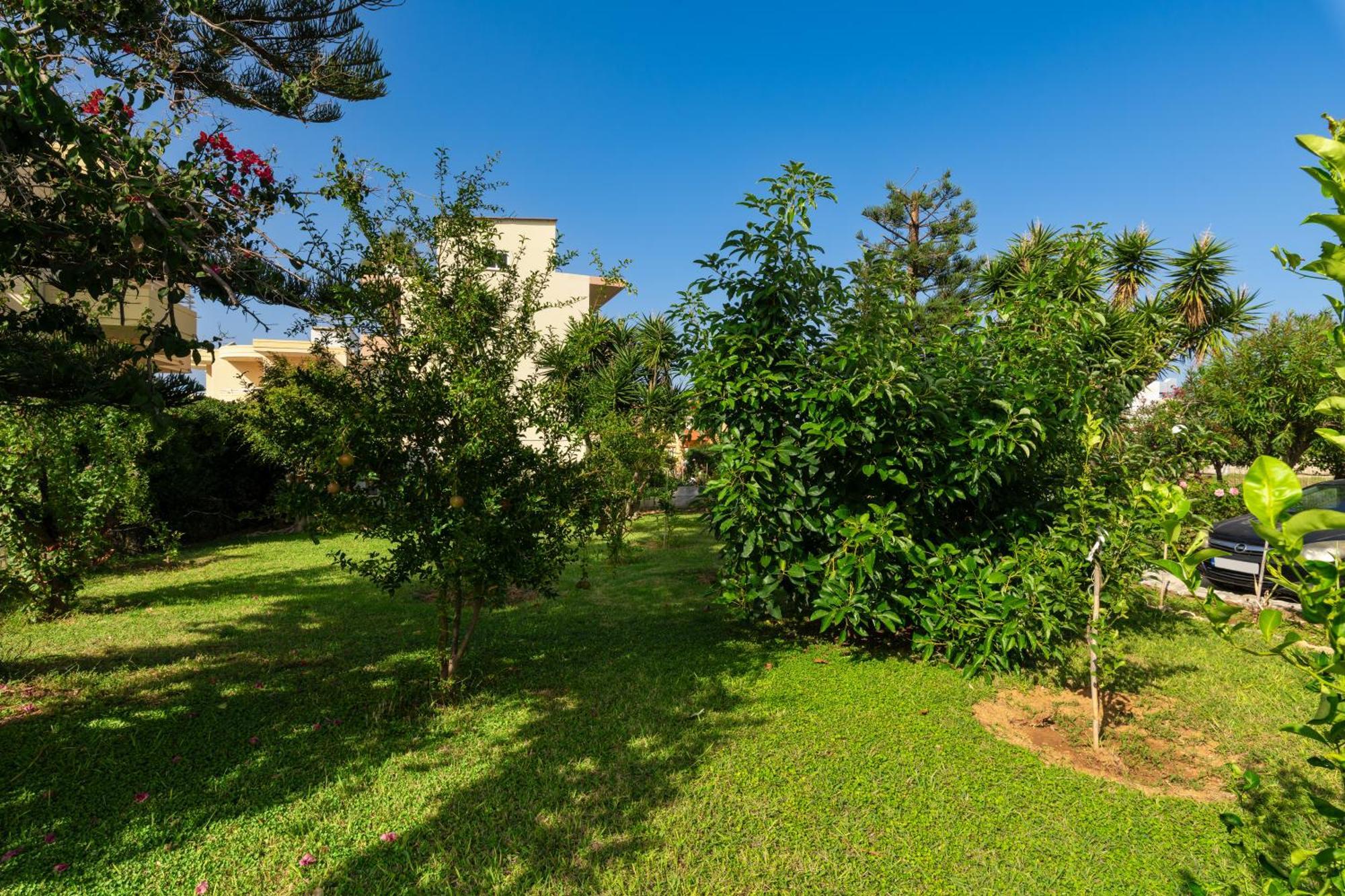 Evdokia Αpartments & Dimitra Village Agia Marina  Exterior photo